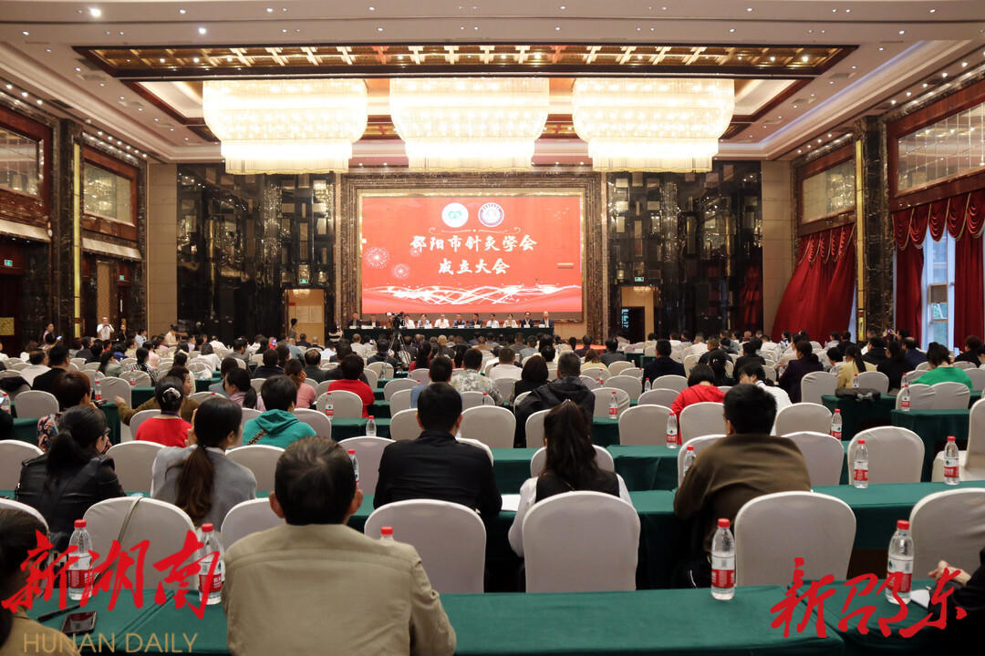 邵阳市针灸学会成立大会在邵东召开_邵阳头条网